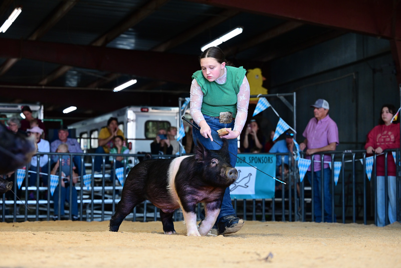 25GTT- RingAHamps-5290.jpg