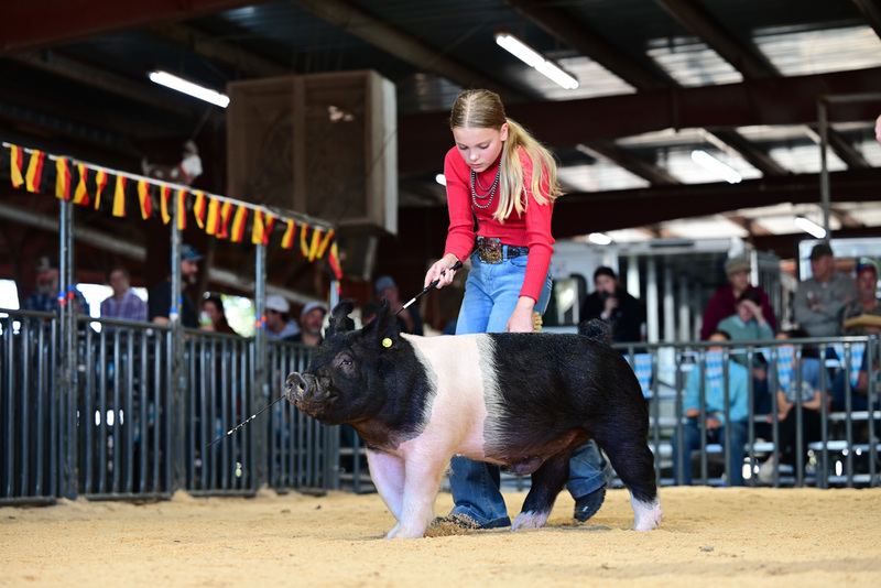 25GTT- RingAHamps-5295.jpg