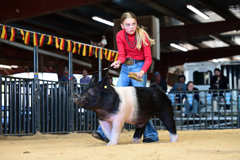 25GTT- RingAHamps-5296.jpg