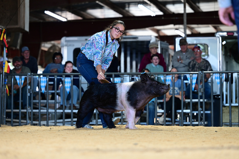 25GTT- RingAHamps-5298.jpg