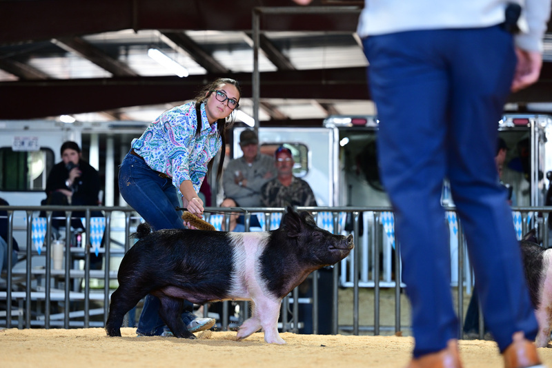 25GTT- RingAHamps-5299.jpg