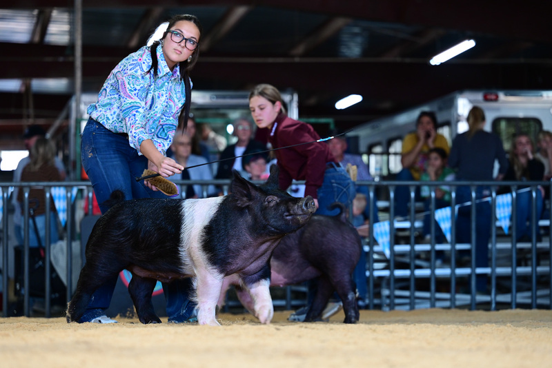 25GTT- RingAHamps-5300.jpg