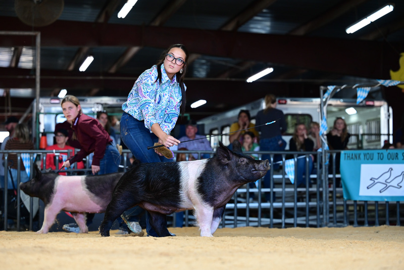 25GTT- RingAHamps-5301.jpg