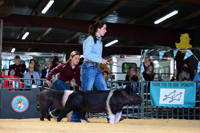 25GTT- RingAHamps-5305.jpg