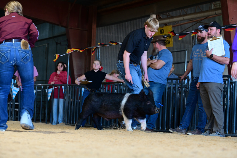 25GTT- RingAHamps-5309.jpg