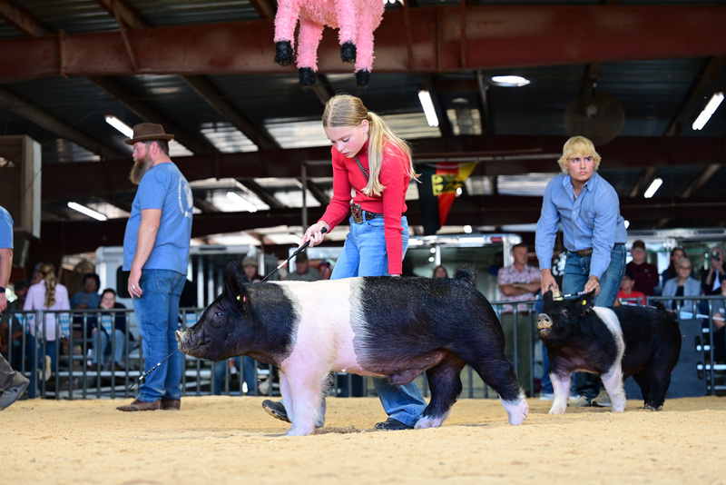 25GTT- RingAHamps-5314.jpg