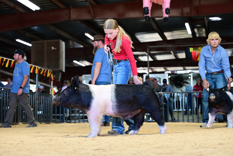 25GTT- RingAHamps-5315.jpg