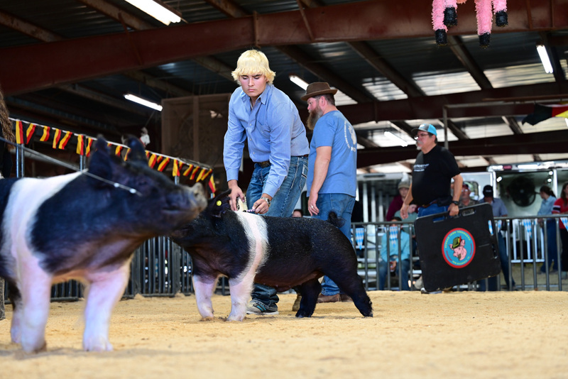 25GTT- RingAHamps-5318.jpg