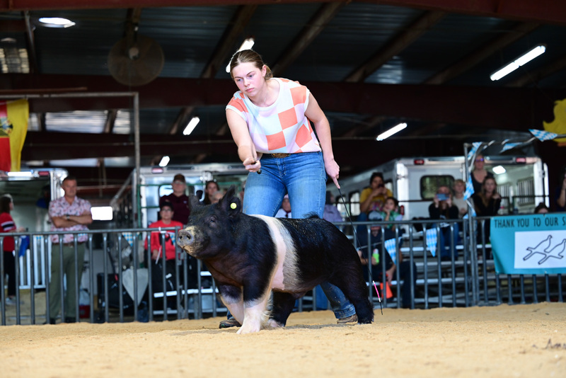 25GTT- RingAHamps-5320.jpg