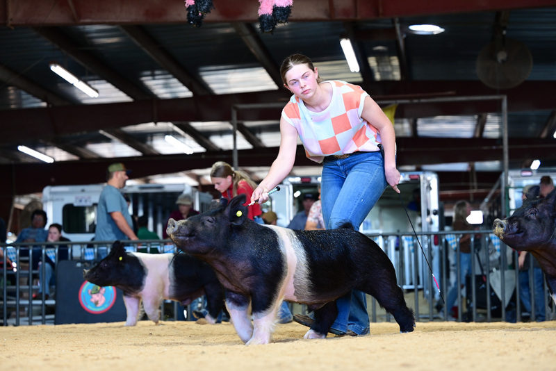 25GTT- RingAHamps-5322.jpg