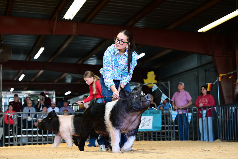 25GTT- RingAHamps-5327.jpg