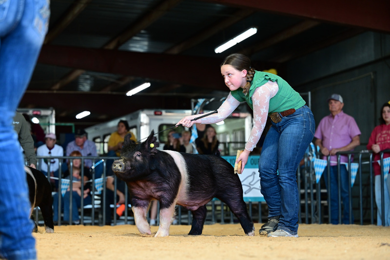 25GTT- RingAHamps-5330.jpg