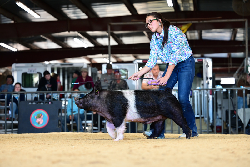 25GTT- RingAHamps-5331.jpg