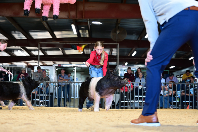 25GTT- RingAHamps-5333.jpg