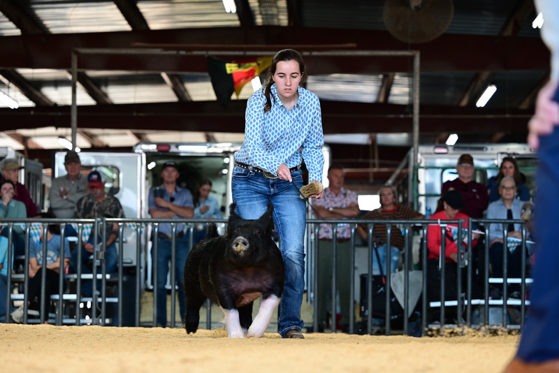 25GTT- RingAHamps-5334.jpg