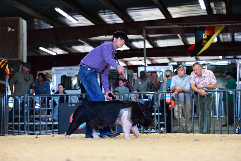 25GTT- RingAHamps-5339.jpg