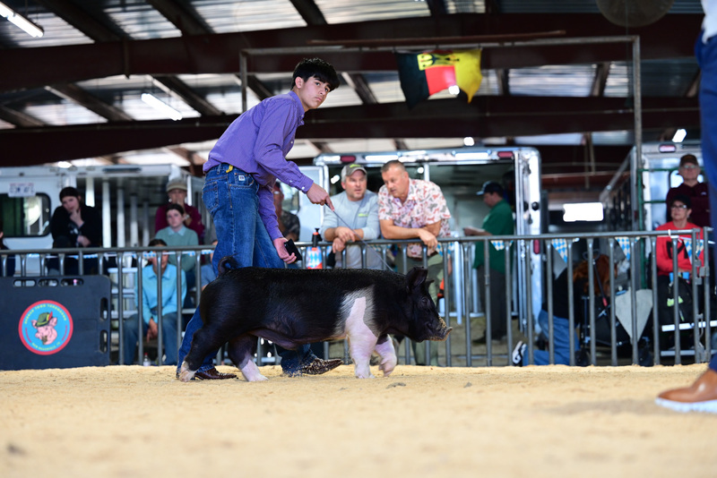 25GTT- RingAHamps-5340.jpg