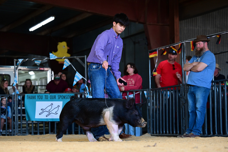 25GTT- RingAHamps-5343.jpg