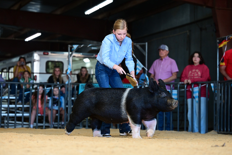 25GTT- RingAHamps-5347.jpg