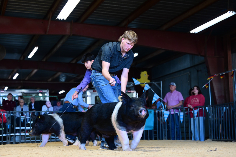 25GTT- RingAHamps-5348.jpg