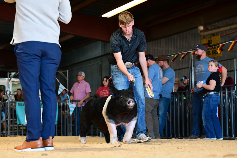 25GTT- RingAHamps-5352.jpg