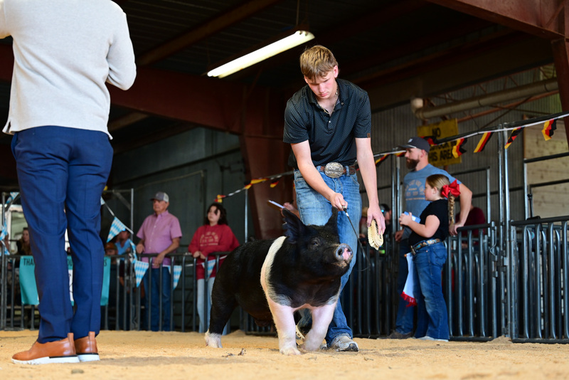 25GTT- RingAHamps-5353.jpg