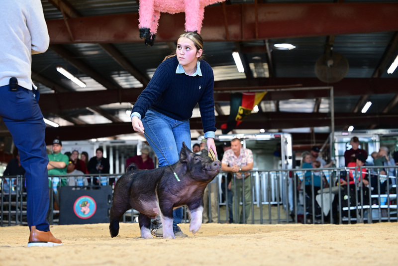 25GTT- RingAHamps-5354.jpg