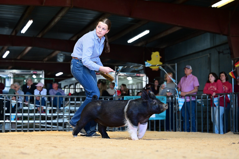 25GTT- RingAHamps-5357.jpg