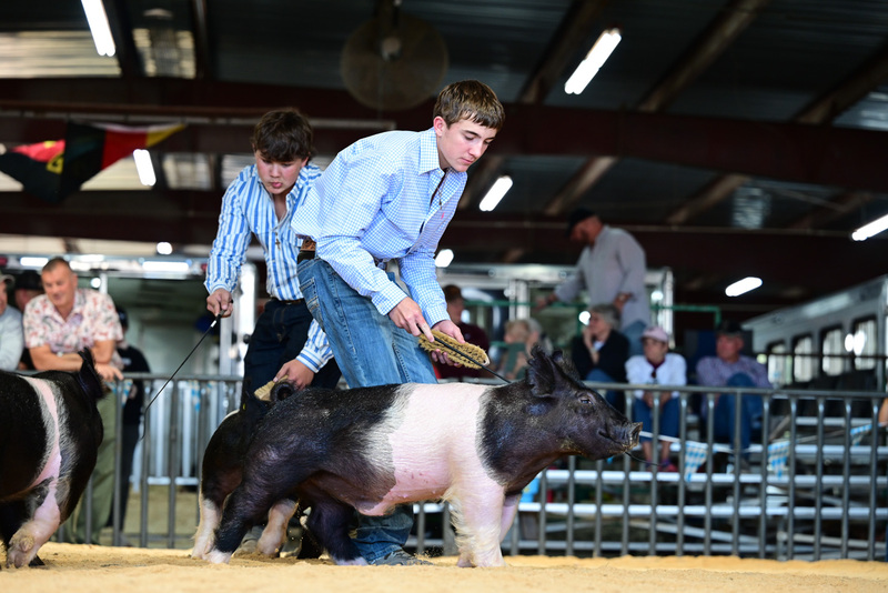 25GTT- RingAHamps-5362.jpg