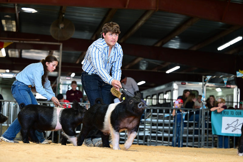 25GTT- RingAHamps-5364.jpg