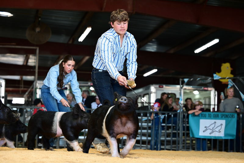 25GTT- RingAHamps-5365.jpg