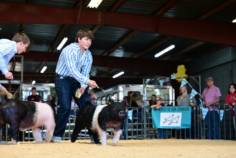 25GTT- RingAHamps-5371.jpg