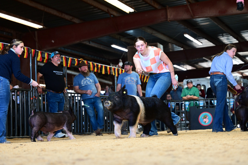 25GTT- RingAHamps-5372.jpg