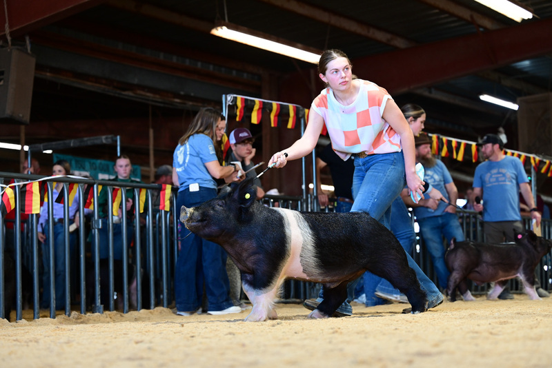 25GTT- RingAHamps-5374.jpg