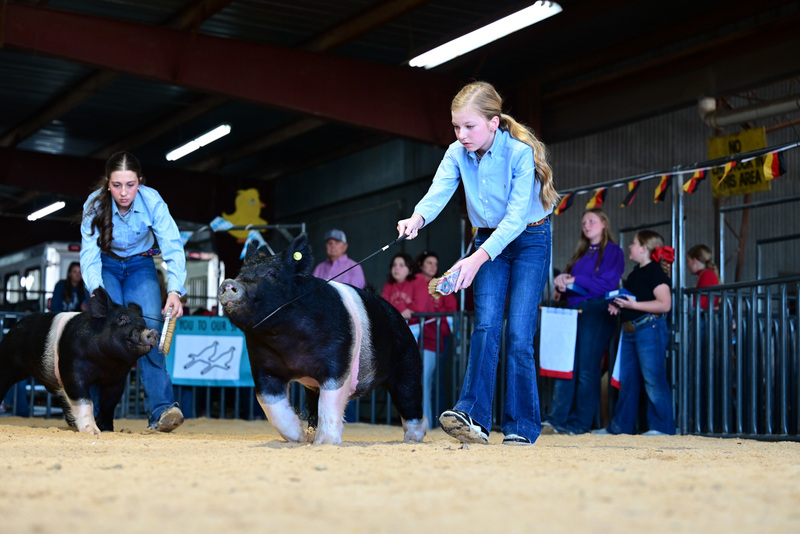 25GTT- RingAHamps-5377.jpg