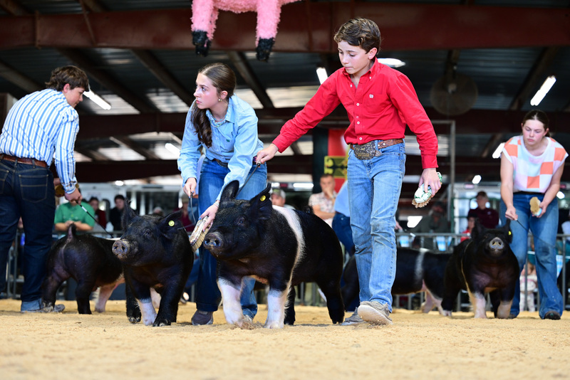 25GTT- RingAHamps-5384.jpg