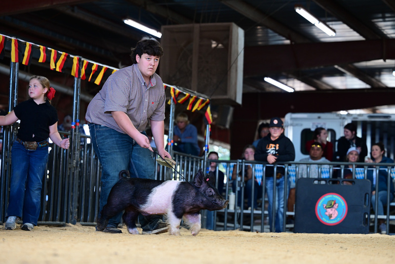 25GTT- RingAHamps-5390.jpg