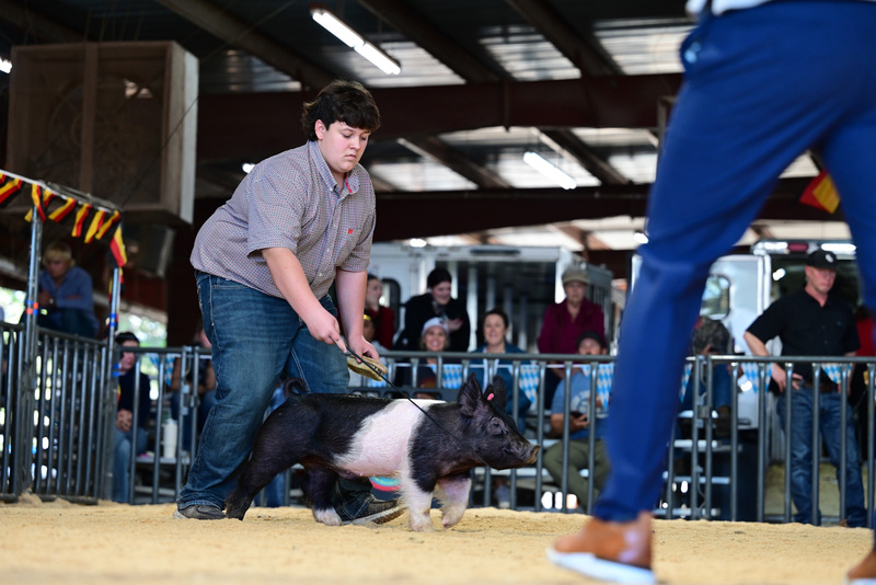 25GTT- RingAHamps-5392.jpg