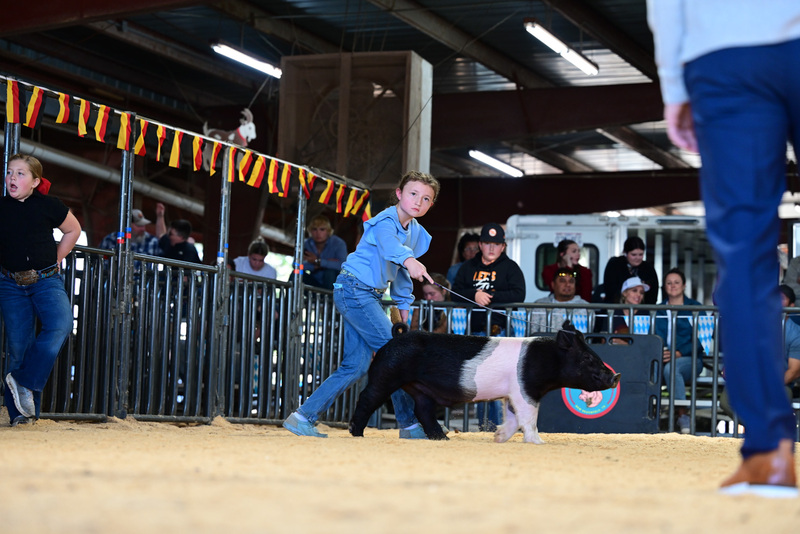 25GTT- RingAHamps-5395.jpg