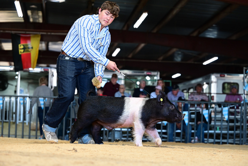 25GTT- RingAHamps-5400.jpg