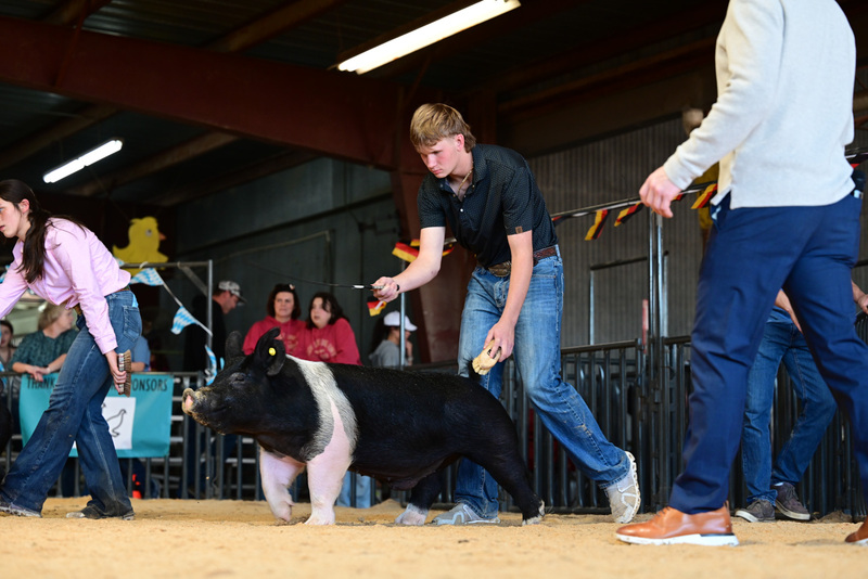 25GTT- RingAHamps-5401.jpg