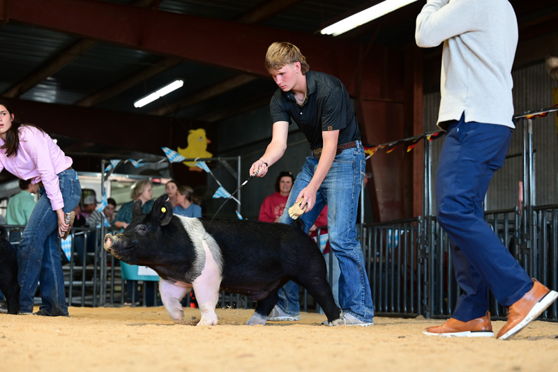 25GTT- RingAHamps-5402.jpg