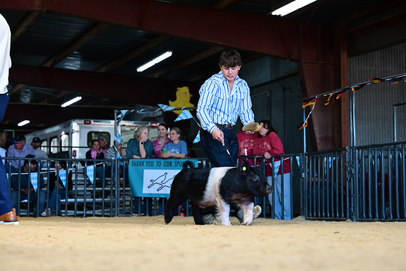 25GTT- RingAHamps-5403.jpg