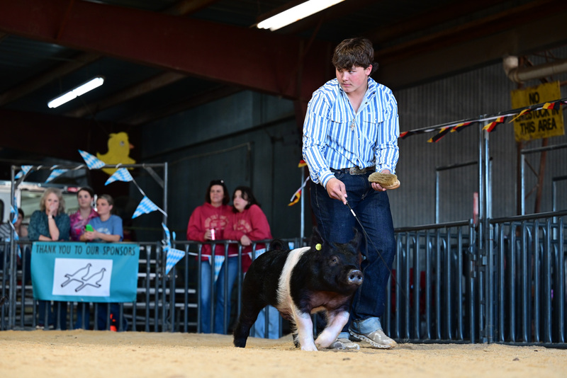 25GTT- RingAHamps-5405.jpg