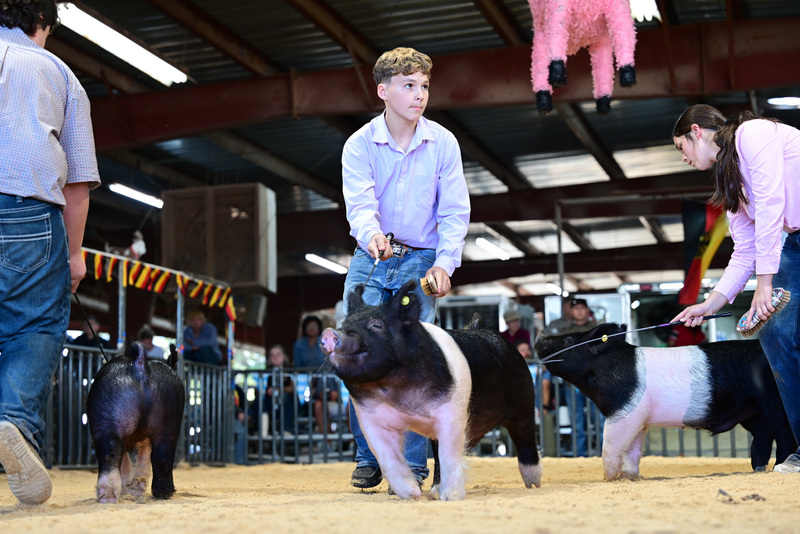 25GTT- RingAHamps-5406.jpg