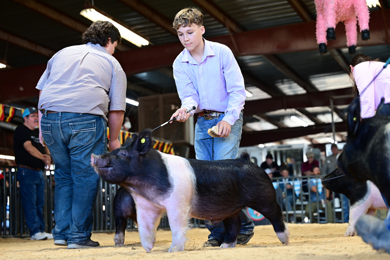 25GTT- RingAHamps-5407.jpg