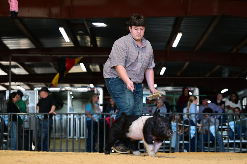 25GTT- RingAHamps-8182.jpg