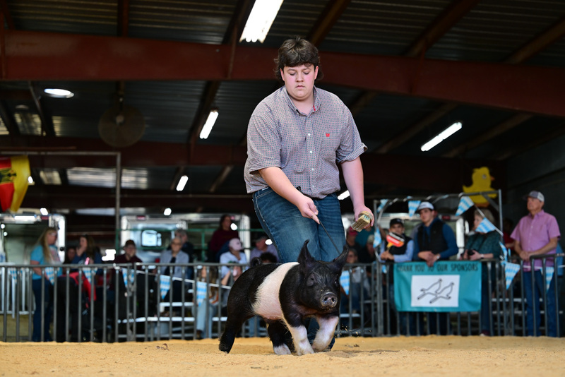 25GTT- RingAHamps-8184.jpg