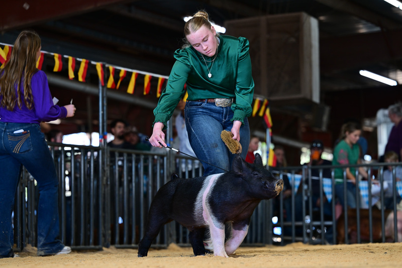 25GTT- RingAHamps-8186.jpg