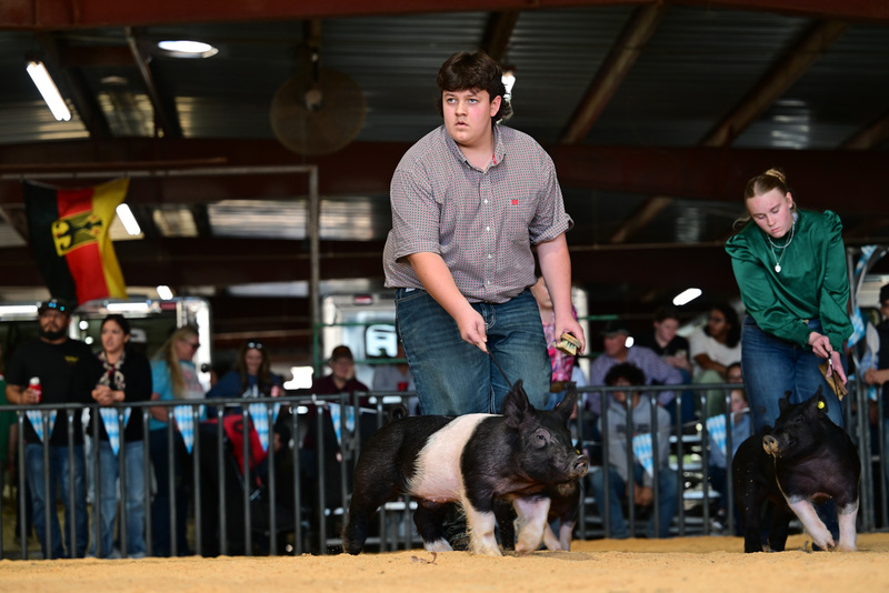 25GTT- RingAHamps-8188.jpg